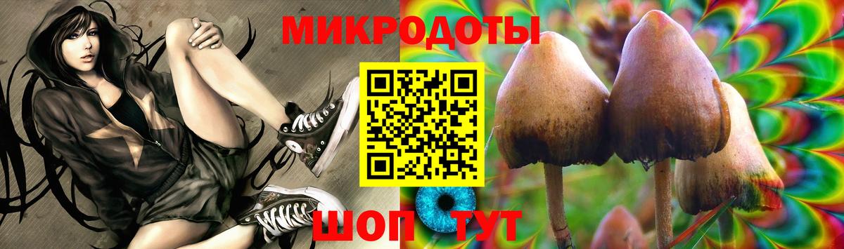 Галлюциногенные грибы Psilocybine cubensis Каменка